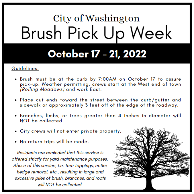 brushpu